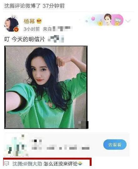 娱乐吃瓜周冬雨视频大全,视频大全带你领略女神魅力